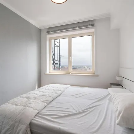 Mistral In Apartment